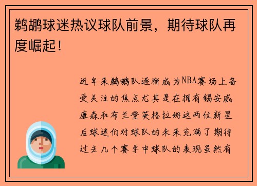 鹈鹕球迷热议球队前景，期待球队再度崛起！